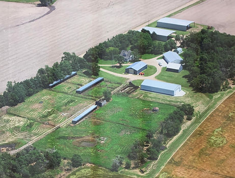 Farm pic 6.jpg